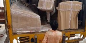 Domestic Relocation Service