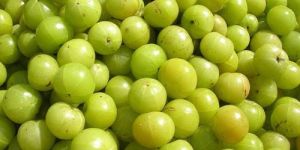 Fresh Amla