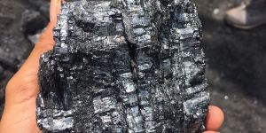 Coal
