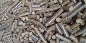 Bio Mass Briquettes