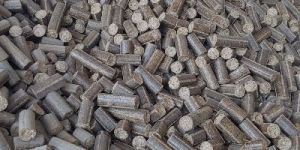 Biomass Pellet