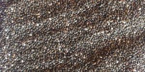 Chia Seeds