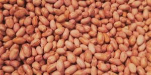 Bold Peanuts