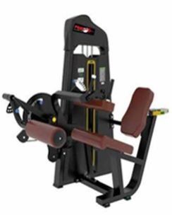 Seated Leg Curl / Extension