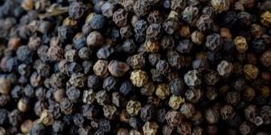 Black Pepper