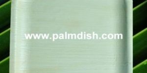 ARECA PALM LEAF DISPOSABLE - 7 Inch Square Platter