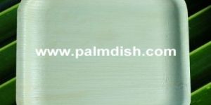 areca square plate - 8 INCH