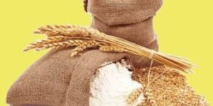 Zyme Plus Flour Improver