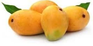 Mango Banganapalli