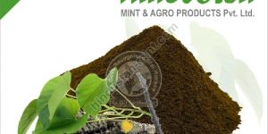 Giloy Dry Extract