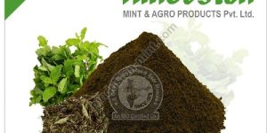 Pudina Dry Extract
