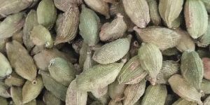 Green Cardamom
