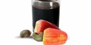 Cashew Nut Shell Liquid