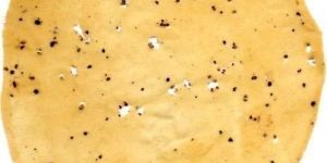 Punjabi Papad
