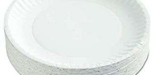 White Paper Plate