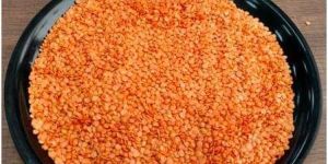 Lentils