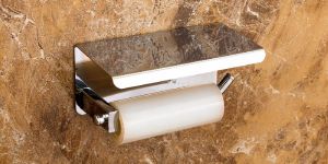 Stainless Steel Toilet Paper Holder