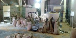 Automatic Seed Processing Plant