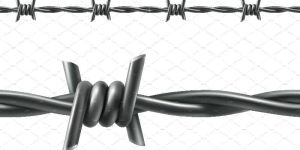 Barbed Wire