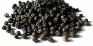 Black Pepper Seeds