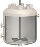 Chemical Reactor Vessel
