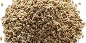 Carom Seeds , Ajwain Seeds