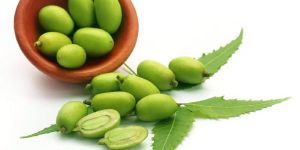 Neem Seeds