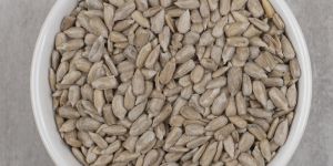 Sunflower Seeds