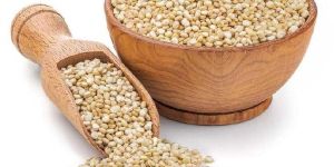 Quinoa Seeds , Chenopodium Quinoa