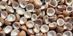 Dry Copra Coconut