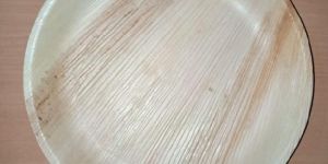Areca Leaf Plate 10