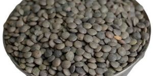 Black Masoor Dal