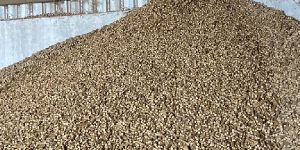 Biomass Pellet