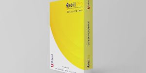 eBillPro-Billing,Accounts,Production,GST Software