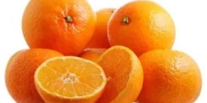Fresh Citrus Orange