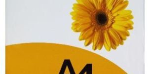 Crayon 65 GSM A4 Copier Paper