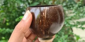 Coconut Shell Eco Friendly Shot Glass