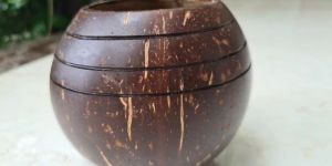Triple Line Coconut Planter