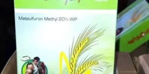 Navgrip Plus Metsulfuron Methyl 20% WP Herbicide