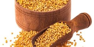 Mustard Seeds