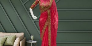 Soft Organza Viscose Lining Sarees