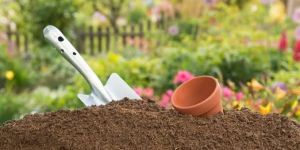 Pure Cow Dung Compost