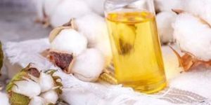 Cotton Seed Oil