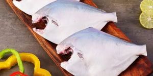 Frozen Pomfret Fish