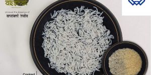 1509 Golden Parboiled Basmati Rice