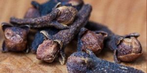 Clove Pods