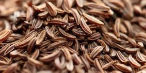 Cumin Seeds