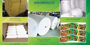 Poly Coated Paper