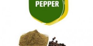 Parisudham Black Pepper Powder
