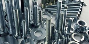 Stainless Steel Nuts